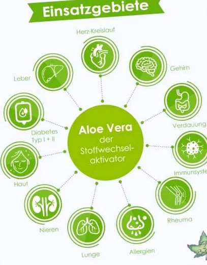 aloe