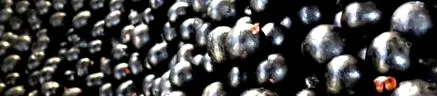 acai