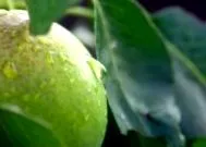 дефіциту виникають