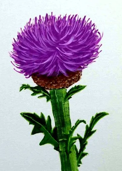 також може