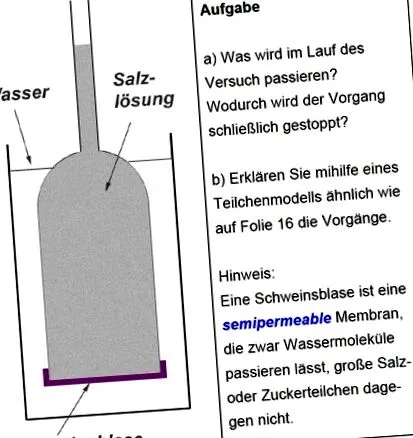 kísérletei