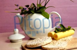 pitopia