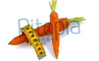 pitopia agenție