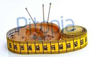 pitopia