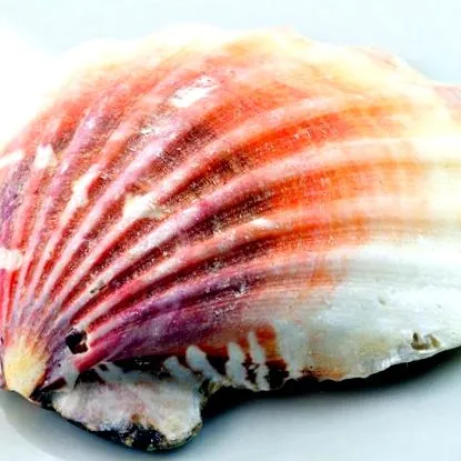 slăbire