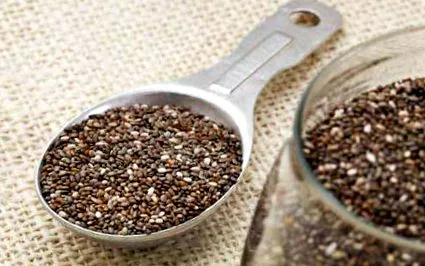 Chia magok