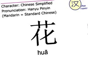 chineză