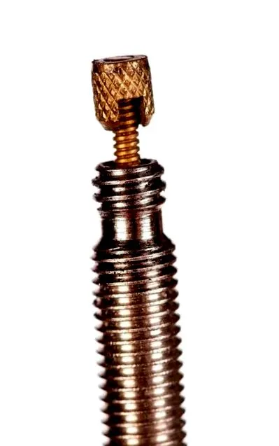 presiunea