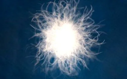 calitatea