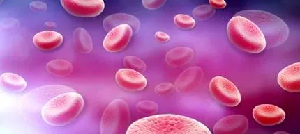 deranjează bacteriile