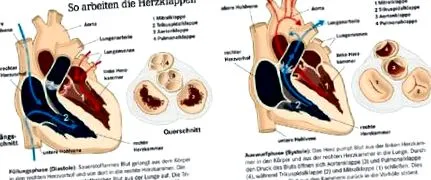 magazin gyógyszertári magazin