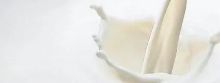 fedezze
