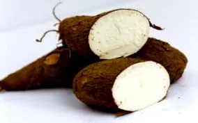 braziliană braziliană