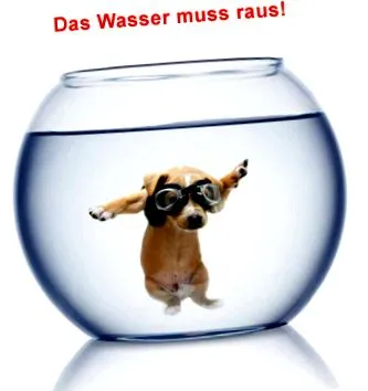 Clercx Suter