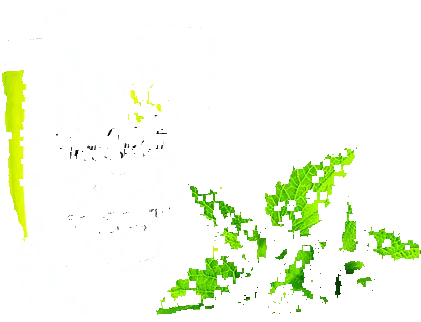 fiber