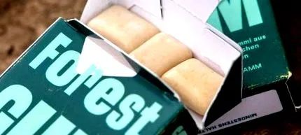 gumă