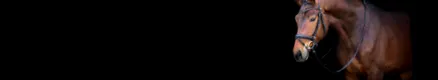 musculaturii