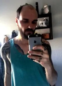 sistemului