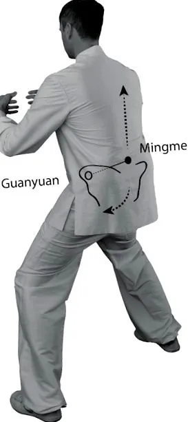 taiji taiji