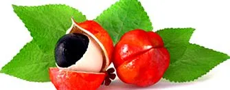 guarana