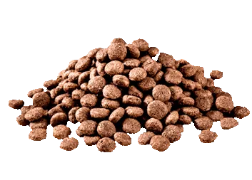 lehetséges