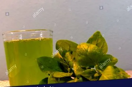 зелен