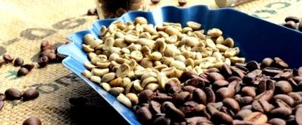 cafea
