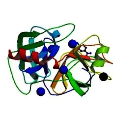 klk-4