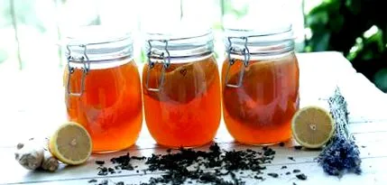 kombucha