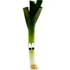 овочевий
