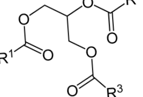 élethez óceán