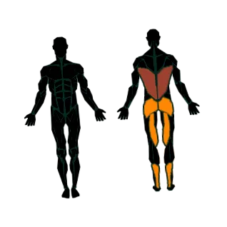 deadlift