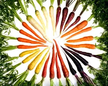 vitamin