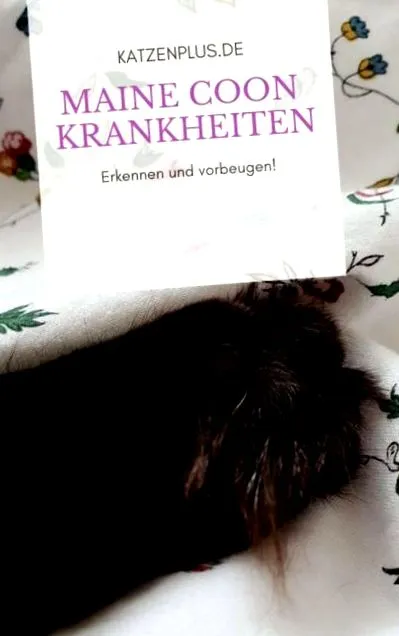 katzenplus