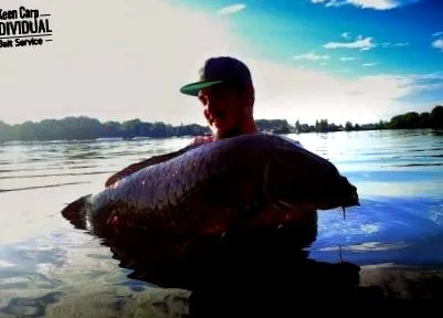 Keen Carp