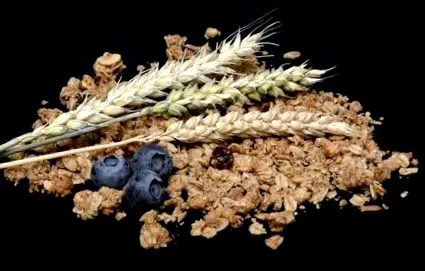 müzli