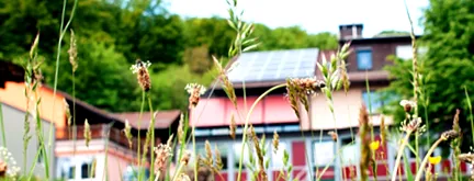 tiergesundheitszentrum