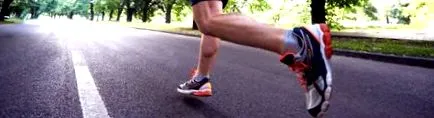 motivație