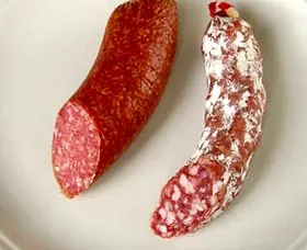 biológia