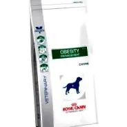 canin