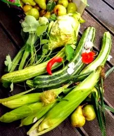 varză