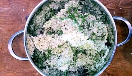 sirop