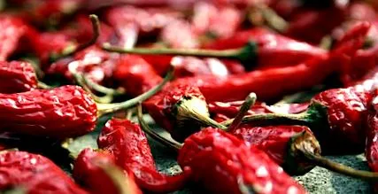 chili