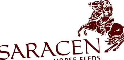saracen