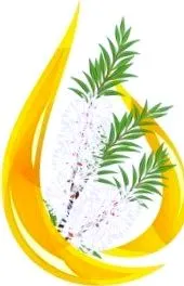 sokoldalú