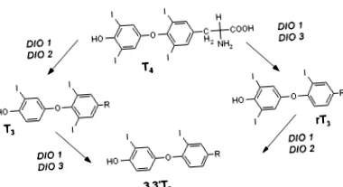 tiroxin