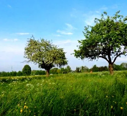 klimawandelpfad