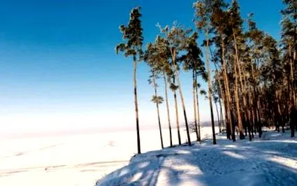 fehérnemű