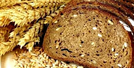 заштитата заштитата