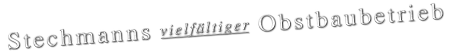 stechmann